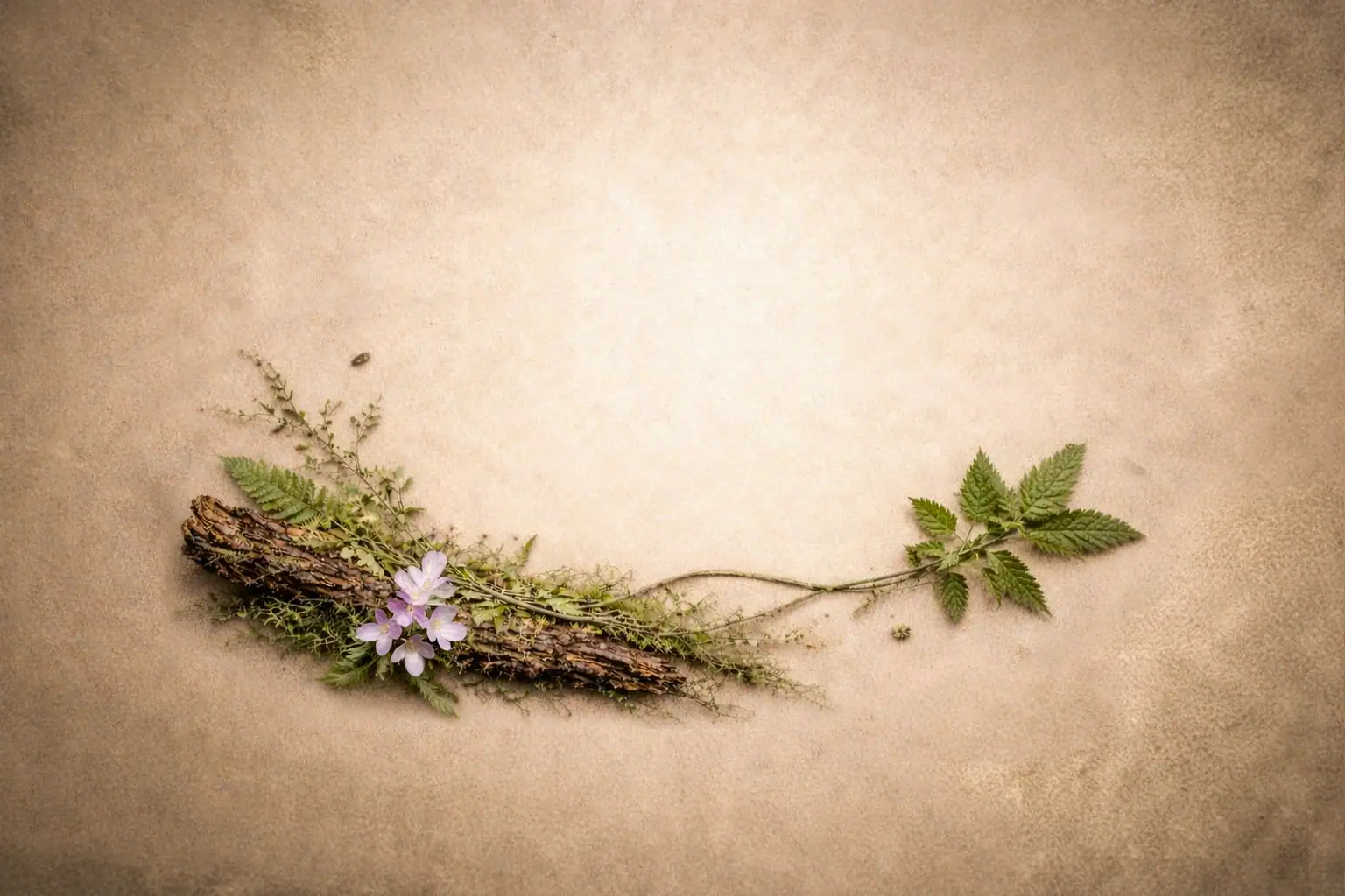 Cosmétiques naturels et soins aux plantes